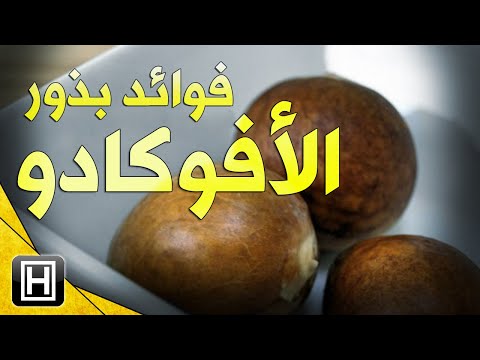 فيديو: أين تستخدم بذور الأفوكادو؟