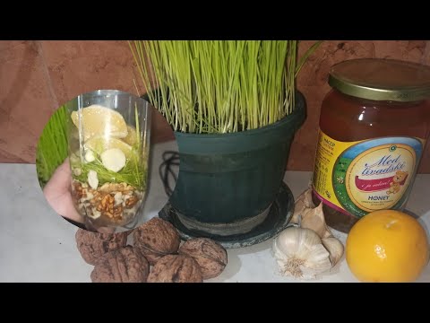 RECEPT Dr.MERMERSKOG-Uništava stanice raka,poboljšava rad mozga,čuva od infarkta!(Primena Leka)