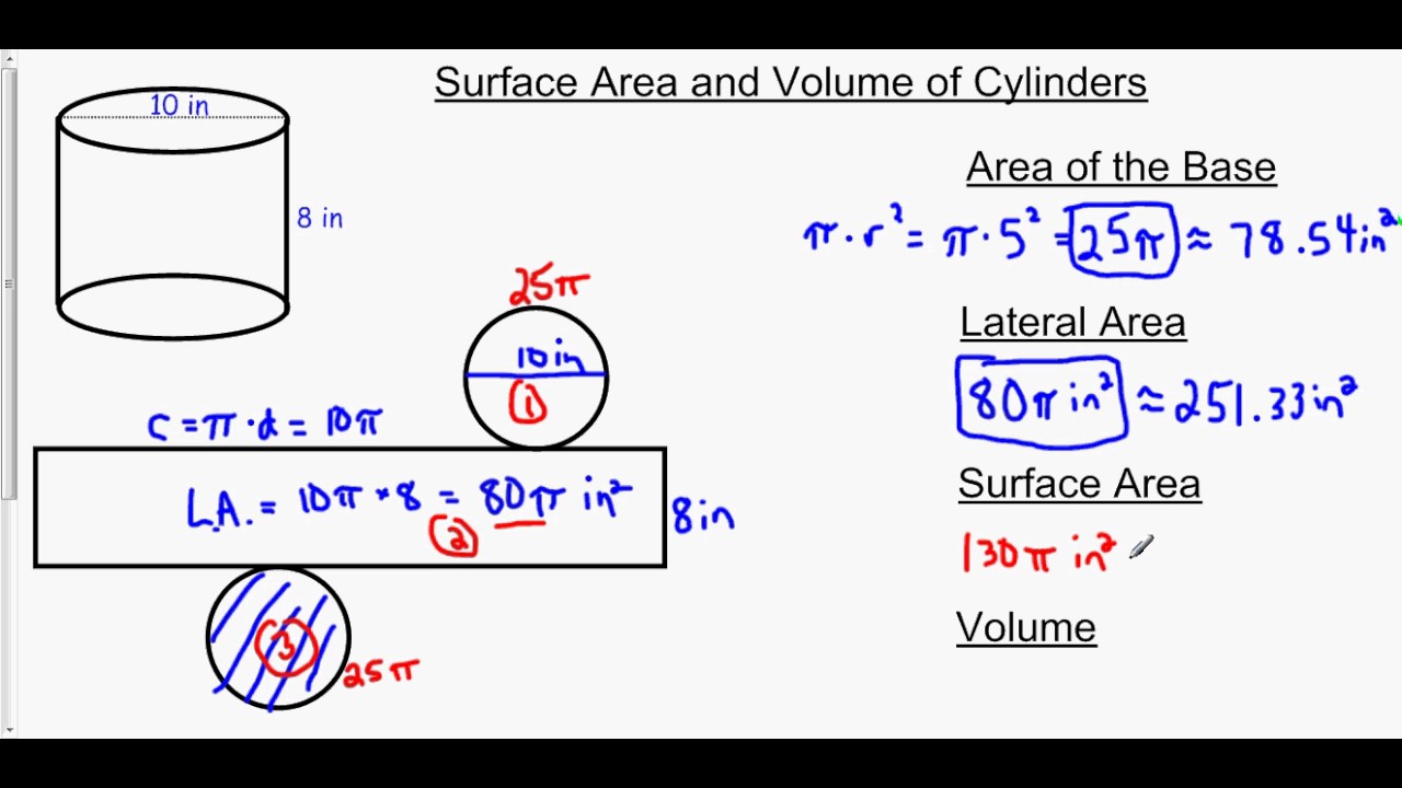 Surface Area and Volume of Cylinders - YouTube