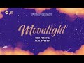 Tom Ferry Alix Robson Moonlight Fubu Remix mp3
