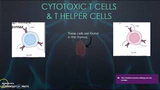 Immunology Test 1