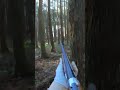 【実銃射撃】神技!当たったのが不思議な位の完璧な射撃!本編リンクはコメント欄に!