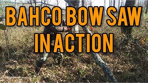 First Time Using the Bahco Bow Saw - Ann