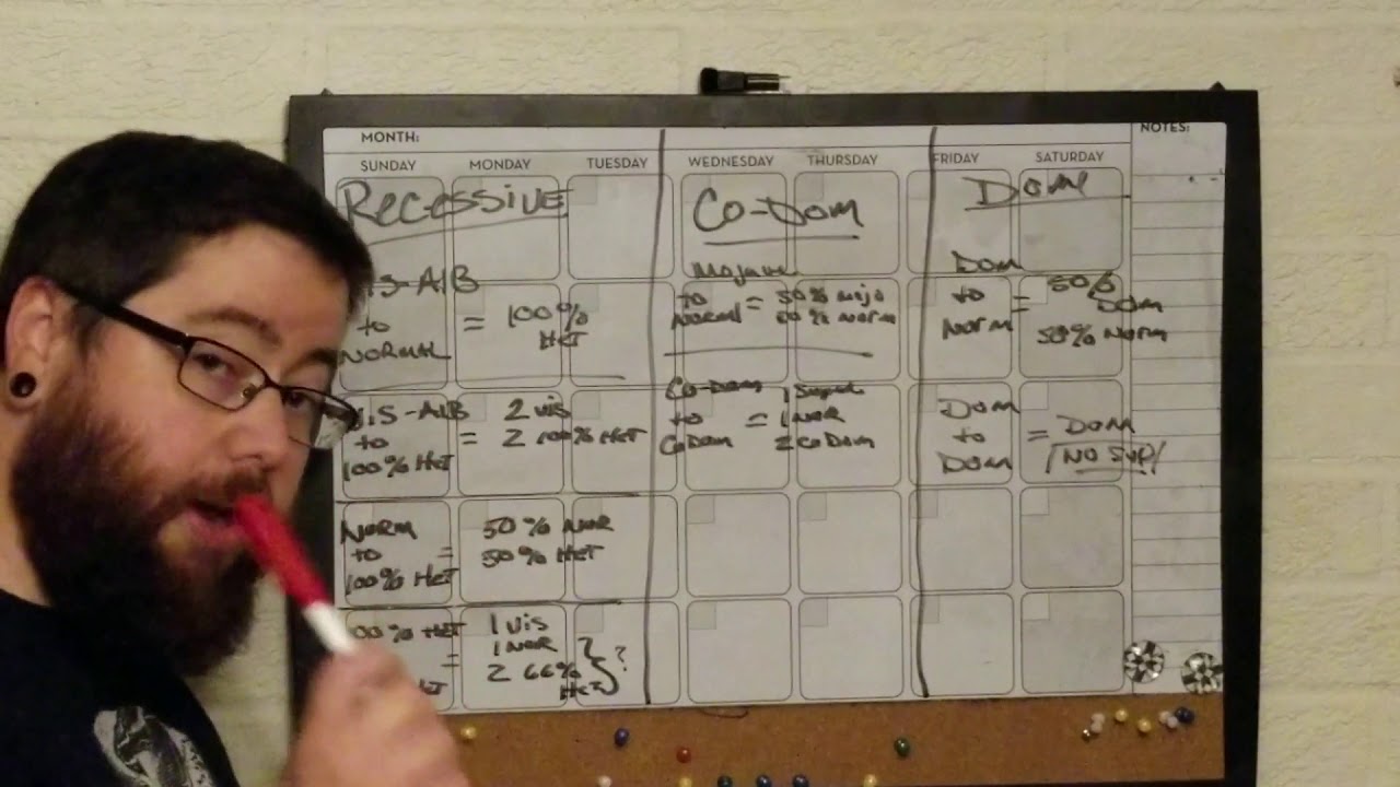 Lets talk Snake Genetics