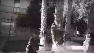 American Staffordshire Terrierroxy