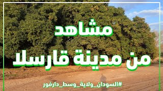 مشاهد من مدينة قارسلا بمحلية وادي صالح ، ولاية وسط دارفور 2022 م