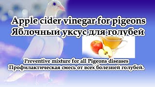 Preventive mixture for all Pigeons diseases  Профилактическая смесь от всех болезней голубей.