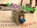 Карманный -Лабораторный усилитель на базе PAM8610