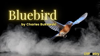 'Bluebird' by Charles Bukowski (Music-Video Season 1, Episode 16)
