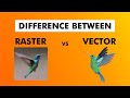 What is Raster and Vector  |  Difference Between Raster and Vector