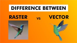 What is Raster and Vector  |  Difference Between Raster and Vector