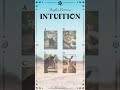 Which Image Have I Chosen? Intuition #3