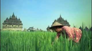 RCTI Signature ID (versi sawah grabah penari pendaki anak anak) HD