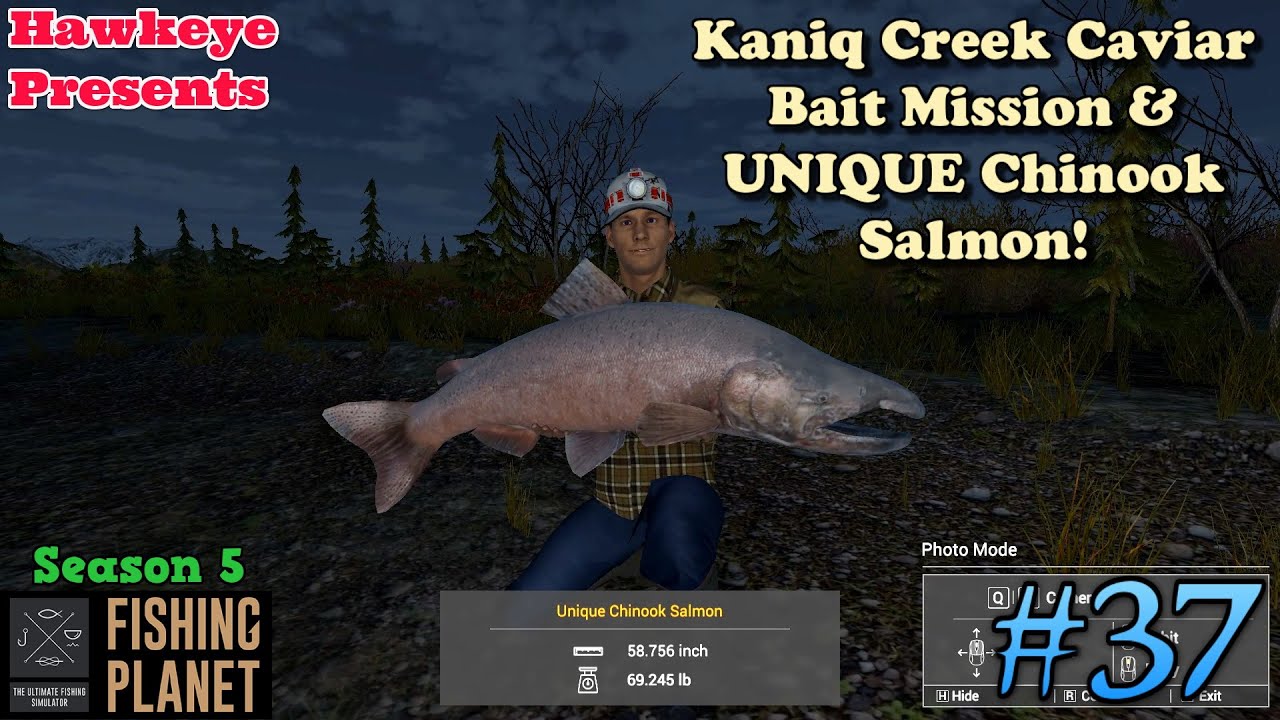 Fishing Planet #37 - S5  Kaniq Creek Caviar Bait Mission & UNIQUE Chinook  Salmon! 