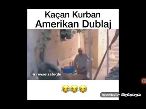 Kaçan kurban amerikan dublaj