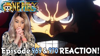 The Great Pirate Era One Piece Episode 969 970 Reaction Review Youtube