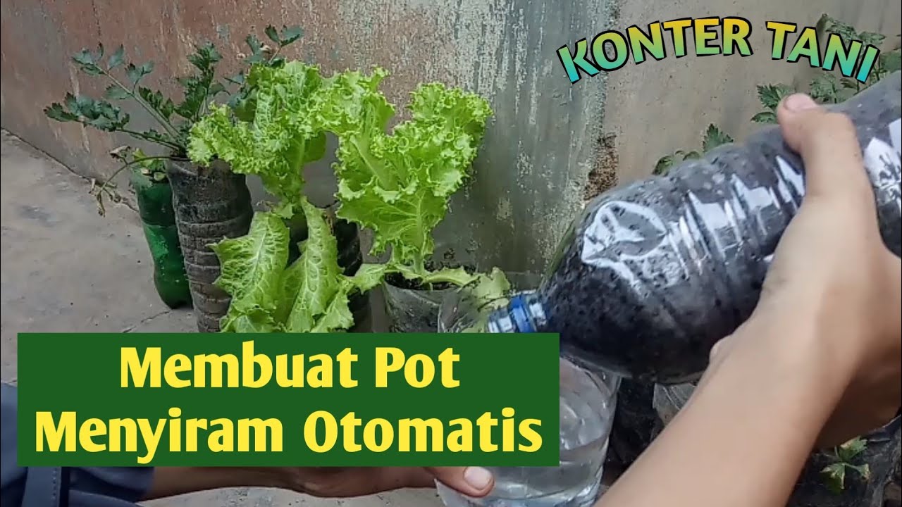 Cara Membuat  Pot  Menyiram Otomatis self watering pot  