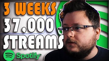 Facebook Ads For Spotify | 37,000 Streams in 3 Weeks