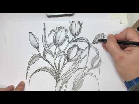 Video: Come Disegnare Un Tulipano