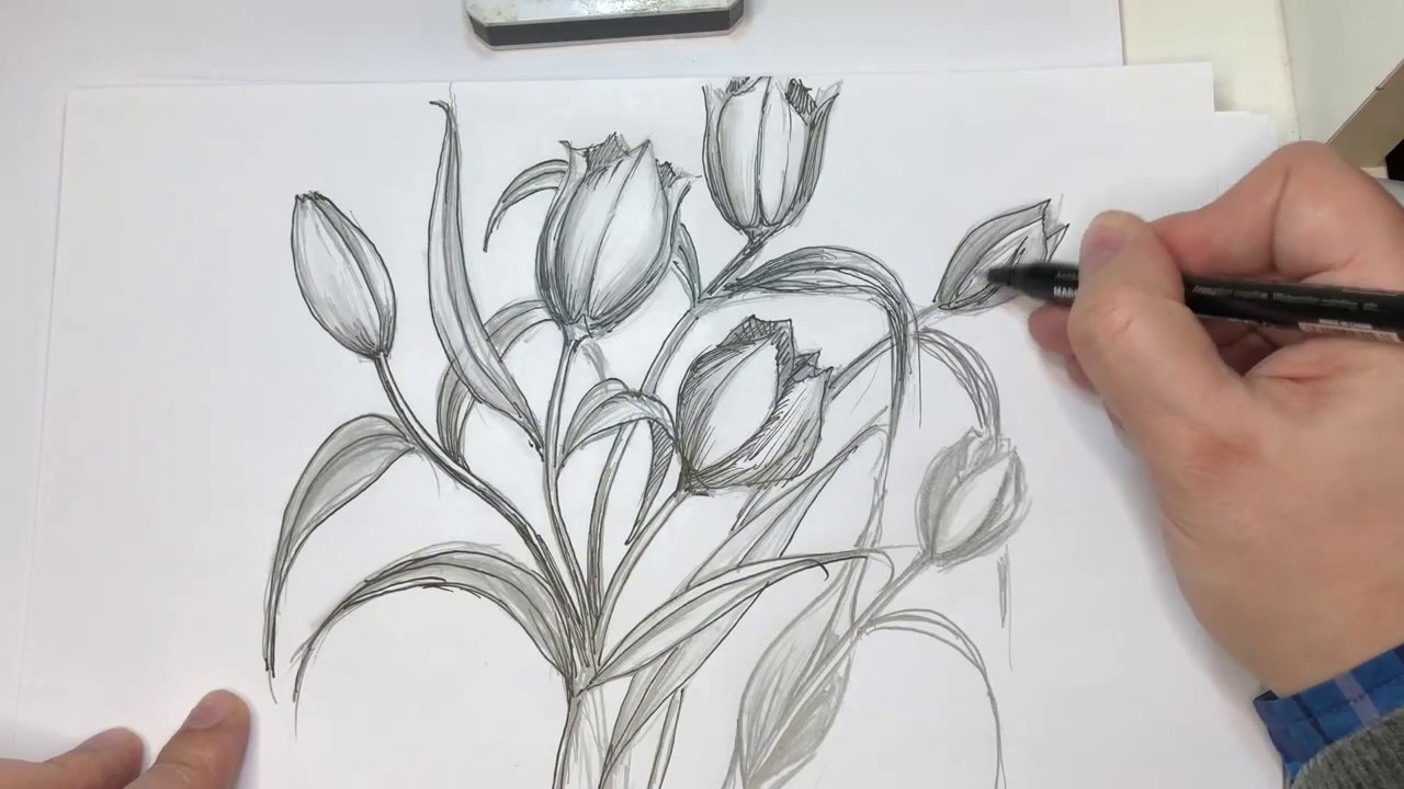 Come Disegnare Un Fiore Di Calla Tutorial Youtube