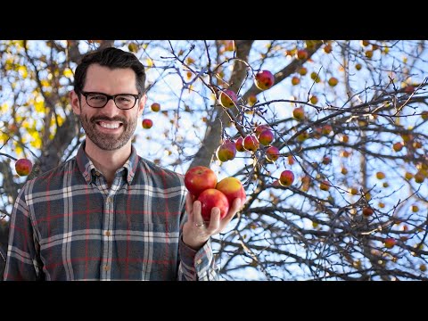 We Planted an Apple Orchard!