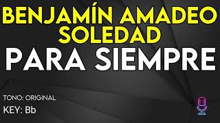 Benjamín Amadeo & Soledad - Para Siempre - Karaoke Instrumental Resimi