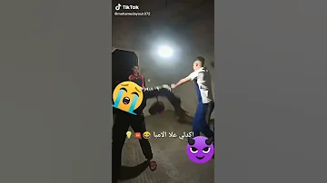 المريولين المقودين 