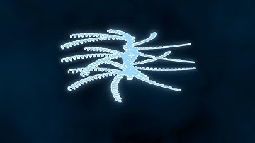 Blender Simple Array Modifier Animation