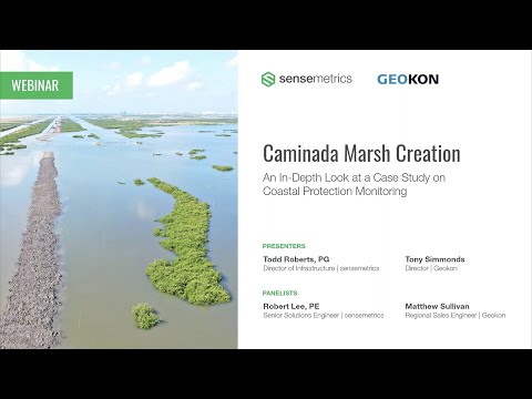 Webinar: Caminada Marsh Creation