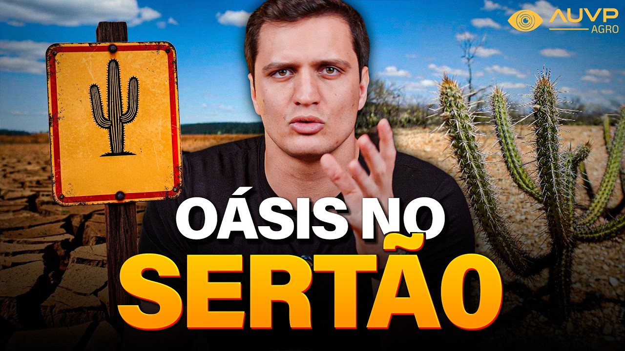 COMO O SEMIÁRIDO VIROU UM DOS AGROS MAIS RICOS DO BRASIL