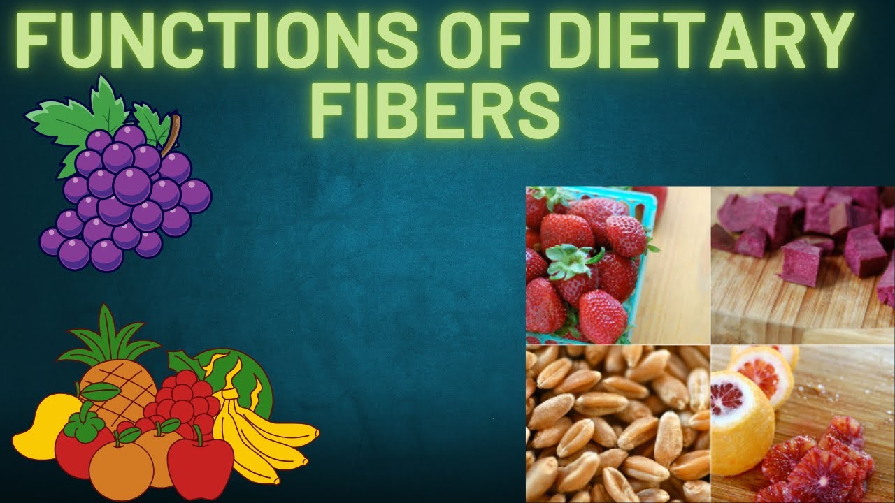 Functions of dietary fibers - YouTube