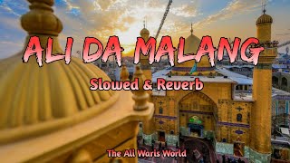 Ali Da Malang | Slowed & Reverb | Farhan Ali Waris | The Ali Waris World