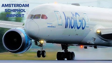 Spectacular 4K Landings at AMS! ✈️ Polderbaan Approaches You Must See