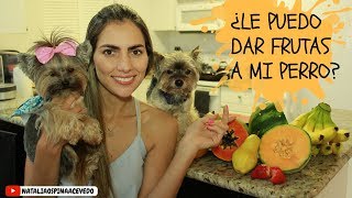 ¿Le puedo dar frutas a mi perro?  Tips by Natalia Ospina