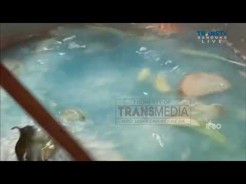 Manfaat Nasi Uduk Bunga Telang