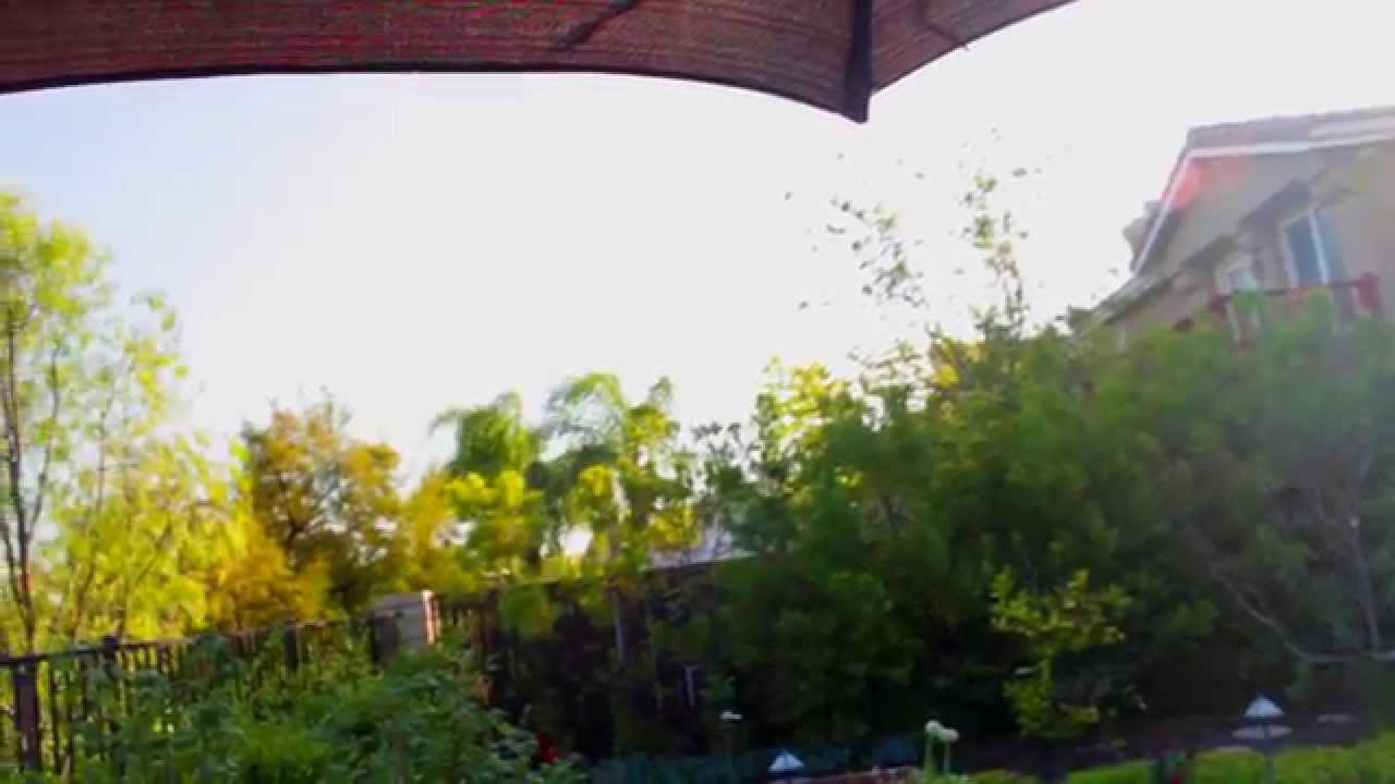 Lang Ranch View Home For Sale YouTube