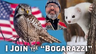 Patriotic HAWK OWL &amp; Feasting ERMINE - Sax-Zim February Virtually Live 43: S4E8