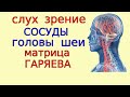 Актуальная всегда для ВСЕХ медитация омоложения сосудов и органов головы матрицей  исцеления Гаряева