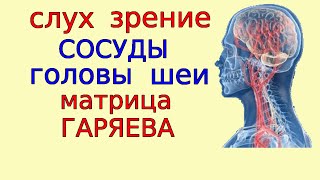 Актуальная Всегда Для Всех Медитация Омоложения Сосудов И Органов Головы Матрицей  Исцеления Гаряева