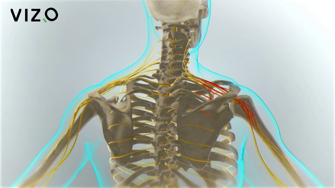 Fourmillements dans les bras et les mains YouTube