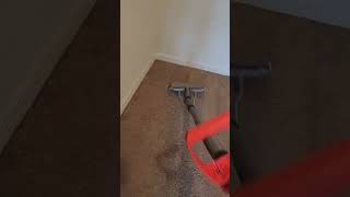 Super Dirty Carpets Deep Clean  Fast Process vacuum  Scrub  Rinse Truckmount carpetcleaning