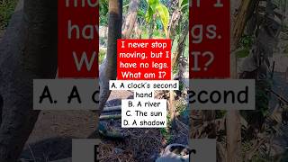 What am I? #shorts #trending #puzzle #puzzlegames #viralshorts #viralvideo #quiz #riddles