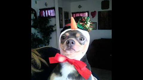 Happy Holiday!!!  By Jim Butera