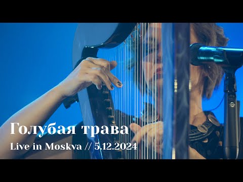 Мельница - Голубая трава - Live in Moskva, 5.12.2024