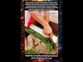 Watch this incredibly satisfying homemade green chopping press work  #DIYIngenuity #ChoppingSkills