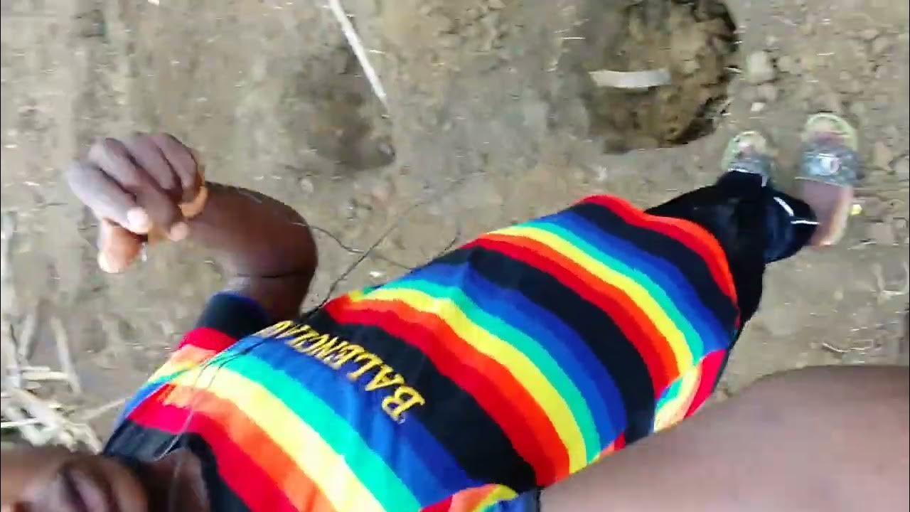 This is how you can dig holes to plant yams and have good yields 🌿🍀