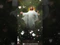 Divya Karunyame Hrithin Anandame | ദിവ്യകാരുണ്യമേ ഹൃതിൻ ആനന്ദമേ | Christian Devotional Song