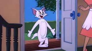 Short Tom And Jerry Cartoon Mouse For Sale