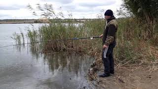 Волгоградская обл., Камышинский район,  с. Таловка, 19.09.2020