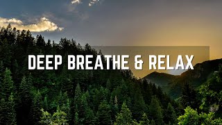 Unplug & Recharge: Tranquil Forest & Soothing BoneCracking ASMR (4K)